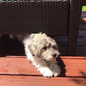 Meet your Posher, Sandy